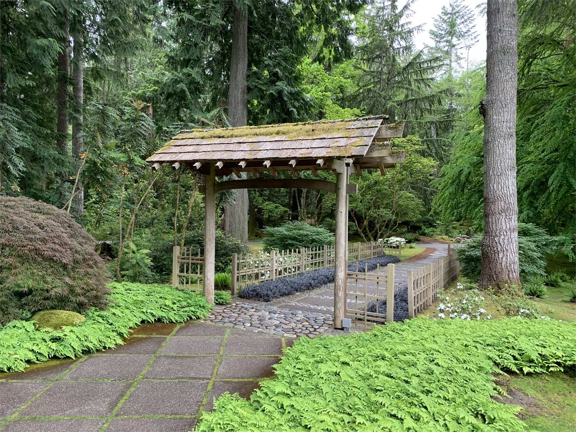 The mossed wooden gate, bamboo fences, and ferns at the entrance to Bloedel Reserve's Japanese Garden