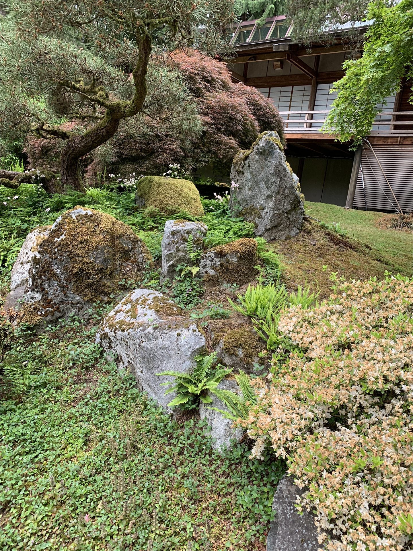 A stone setting among moss, ferns, and trees beside the Japanese Guest House