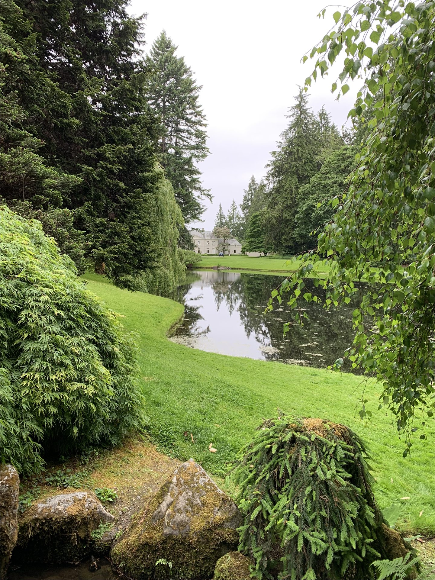 Mid Pond, lawn, and the distant Residence seen from a forest path at Bloedel Reserve