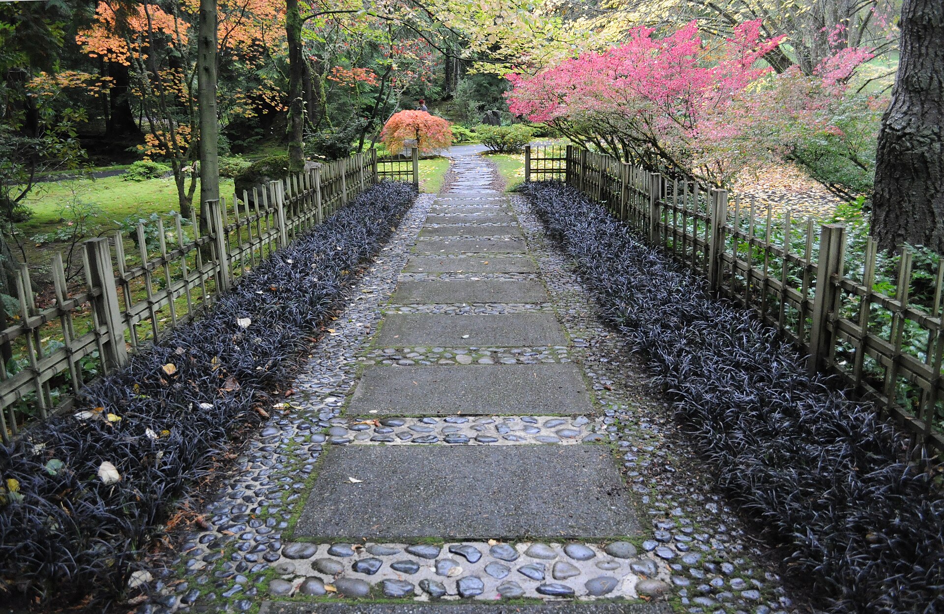 紅葉した樹木と竹垣の間を通り、ブローデル・リザーブの日本庭園から外へ続く石の道