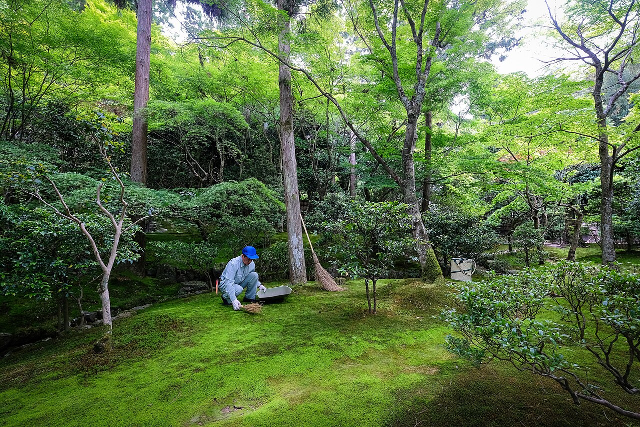 銀閣寺庭園中正在整理苔地的人員