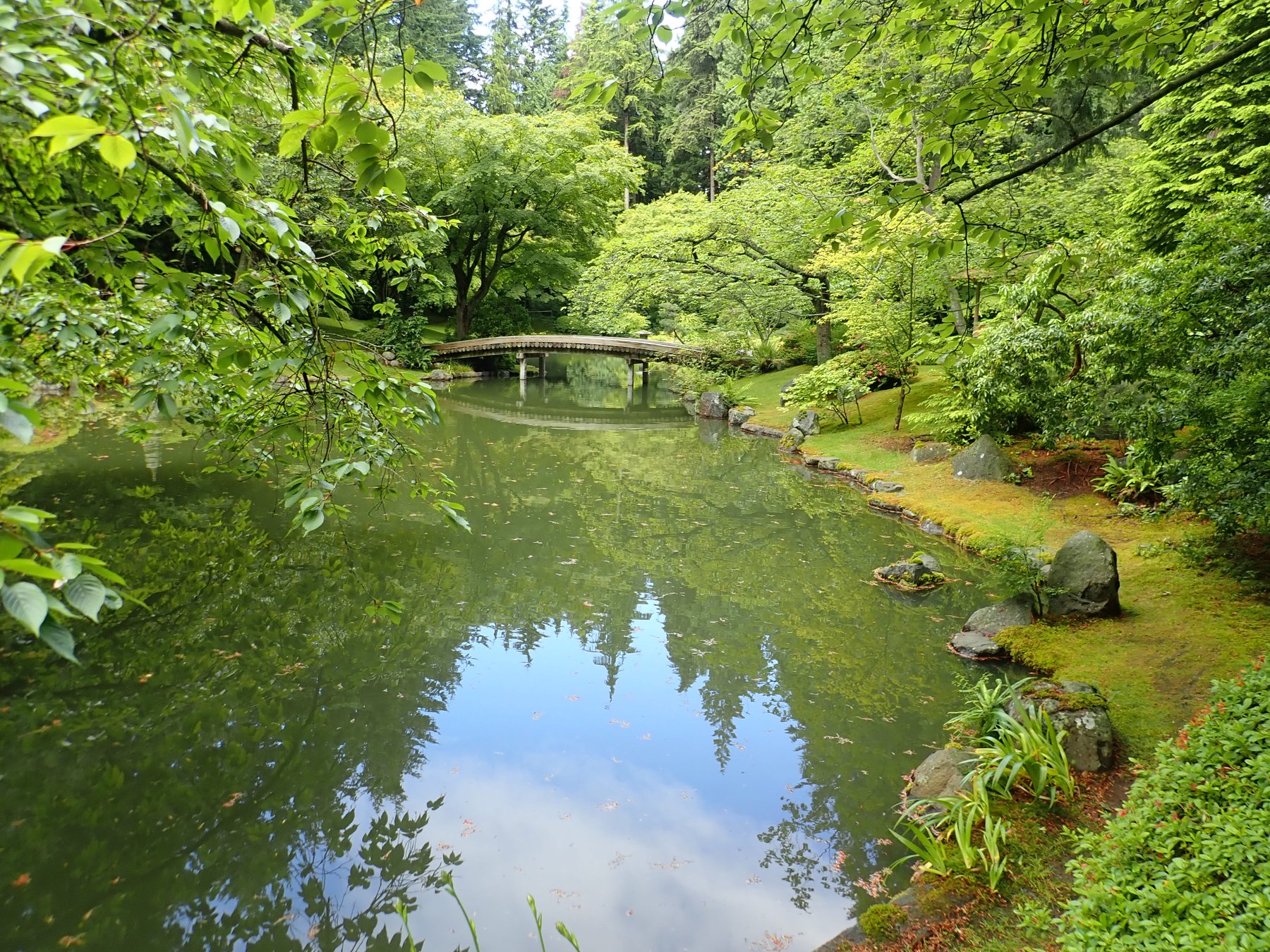 新渡戸記念庭園の池、橋、樹木