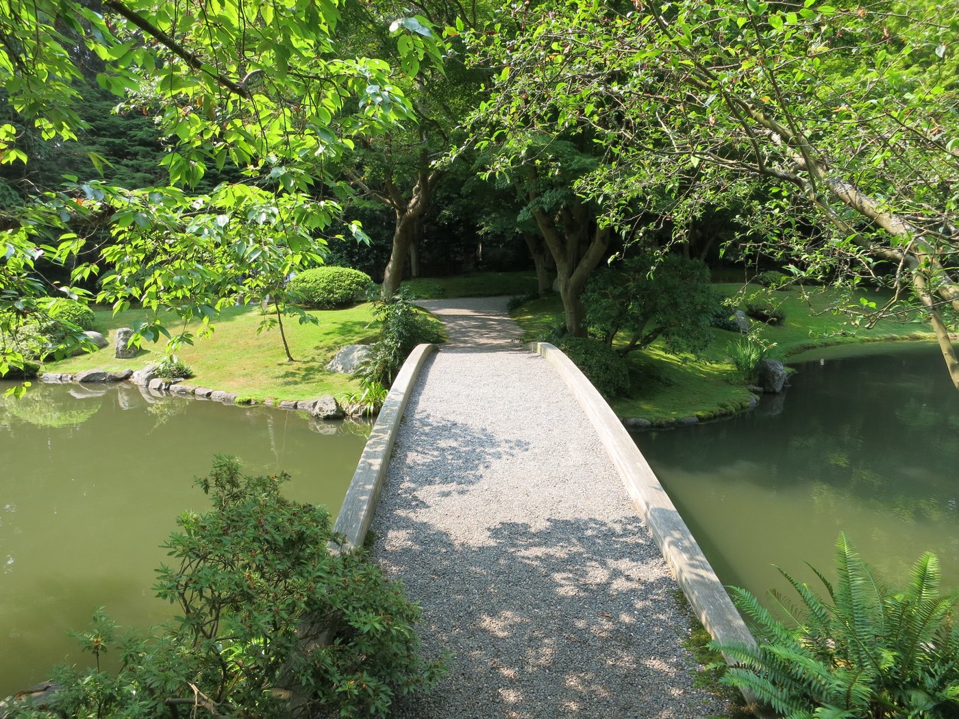 橋の上から見た新渡戸稲造記念庭園の池と道
