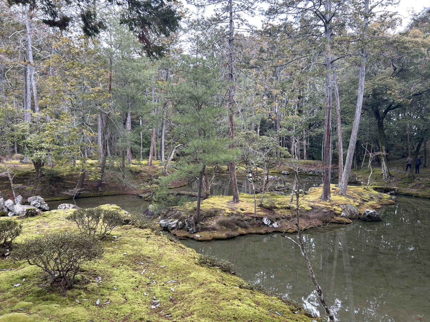 An island, trees, and moss within Saihoji’s pond garden
