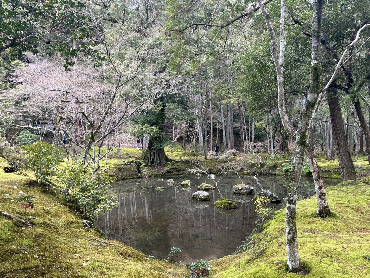 Moss, trees, pond water, and stones along the edge of Saihoji’s pond